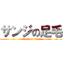 サンジの足毛 (attack on titan)