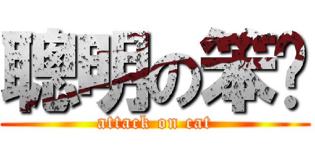 聰明の笨貓 (attack on cat)