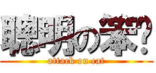 聰明の笨貓 (attack on cat)