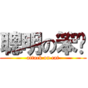 聰明の笨貓 (attack on cat)