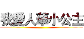 我愛人華小公主 ()