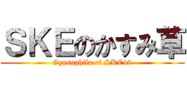 ＳＫＥのかすみ草 (Gypsophila of SKE48)