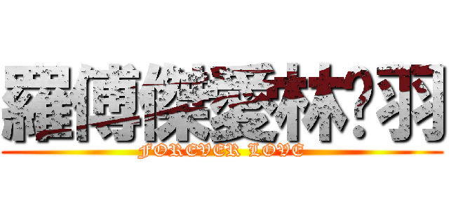 羅傅傑愛林芷羽 (FOREVER LOVE)