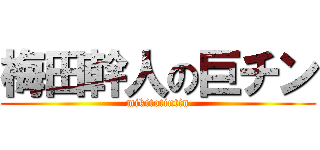 梅田幹人の巨チン (mikitotintin)