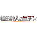 梅田幹人の巨チン (mikitotintin)