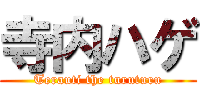 寺内ハゲ (Terauti the turuturu)