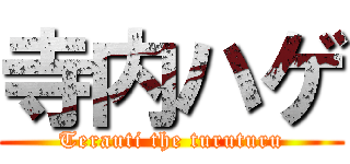 寺内ハゲ (Terauti the turuturu)