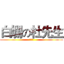 白爛の杜先生 (杜先生)