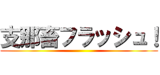 支那畜フラッシュ！ ()