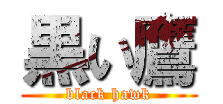 黒い鷹 (black hawk)