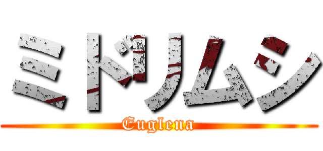 ミドリムシ (Euglena)