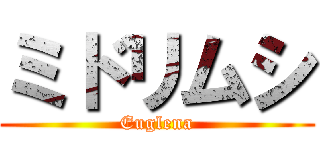 ミドリムシ (Euglena)