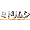 ミドリムシ (Euglena)