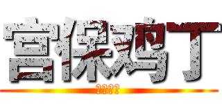 宫保鸡丁 (不要香菜)