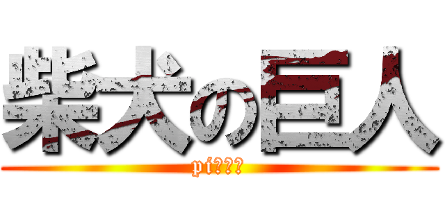 柴犬の巨人 (pi大日向)