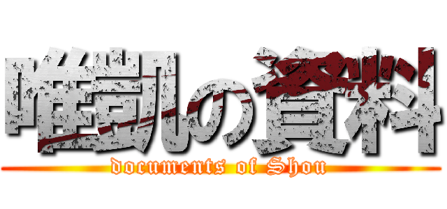 唯凱の資料 (documents of Shou)