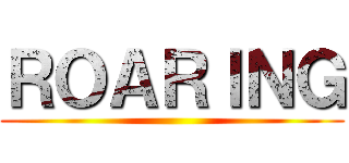 ＲＯＡＲＩＮＧ ()