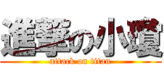 進撃の小瓊 (attack on titan)