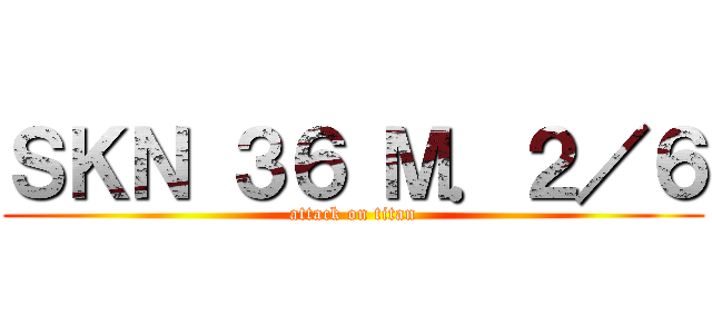 ＳＫＮ ３６ Ｍ．２／６ (attack on titan)