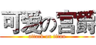 可爱の宫爵 (attack on titan)
