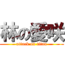 林の愛咲 (attack on titan)