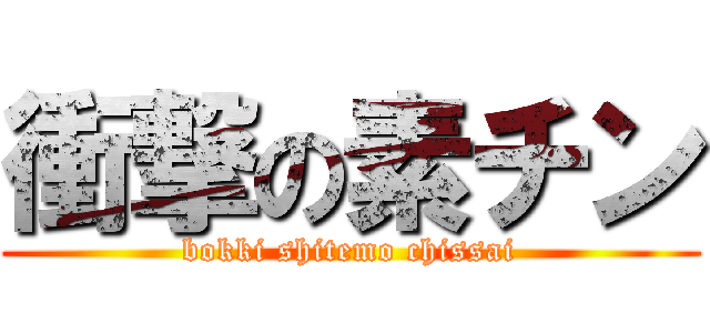 衝撃の素チン (bokki shitemo chissai)
