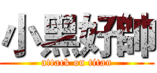 小黑好帥 (attack on titan)