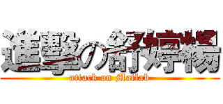 進擊の舒婷楊 (attack on Matlab)