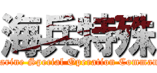 海兵特殊 (Marine Special Operation Command)