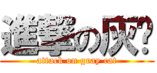 進撃の灰喵 (attack on gray cat)