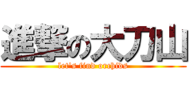 進撃の大刀山 (let\'s find orchids)