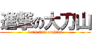 進撃の大刀山 (let\'s find orchids)