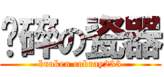 摔碎の瓷器 (broken cobray233)