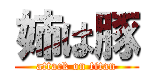 姉は豚 (attack on titan)