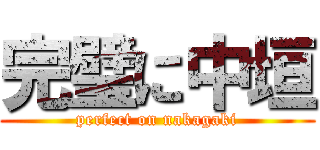 完璧に中垣 (perfect on nakagaki)