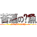 苦逼の烤魚 (NO MONEY)