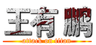 王有 鹏 (attack on titan)