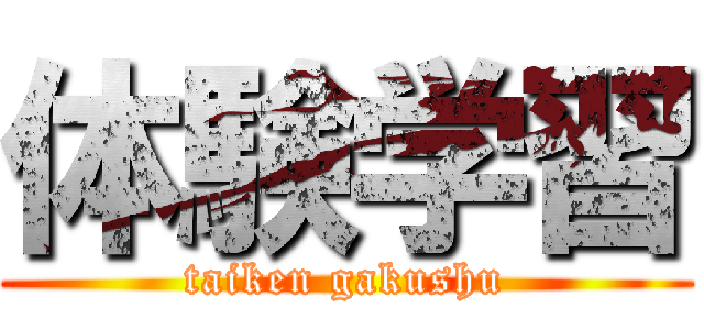 体験学習 (taiken gakushu)