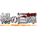 楊の巨輝 (Ray Yeung)