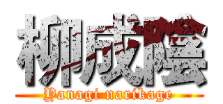 柳成陰 (Yanagi narikage)