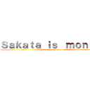 Ｓａｋａｔａ ｉｓ  ｍｏｎｋｅｙ (attack on titan)