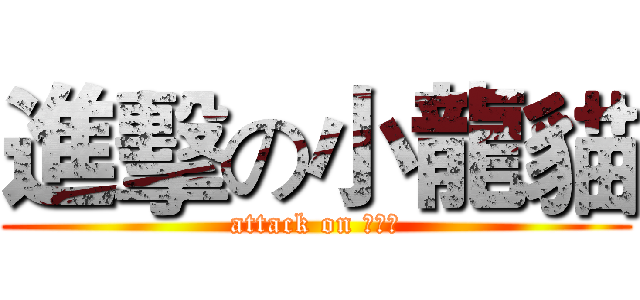 進擊の小龍貓 (attack on トトロ)