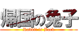 帰国の兔子 (Rabbit is Back)