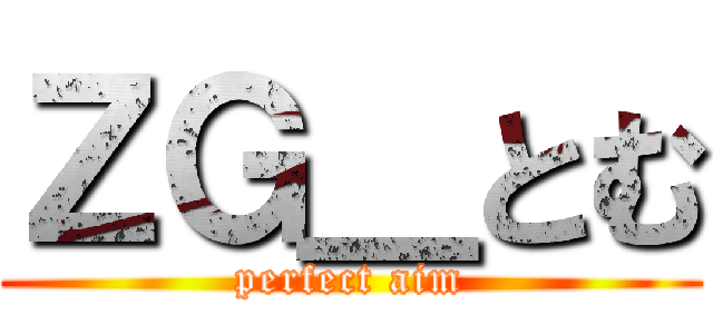 ＺＧ＿とむ (perfect aim)
