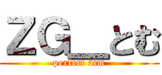 ＺＧ＿とむ (perfect aim)