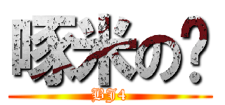 啄米の雞 (BJ4)