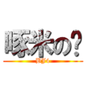 啄米の雞 (BJ4)