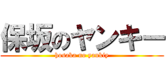 保坂のヤンキー (hosaka no yankiy)