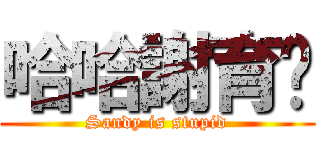 哈哈謝育姍 (Sandy is stupid)