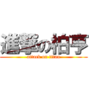 進撃の柏亨 (attack on titan)